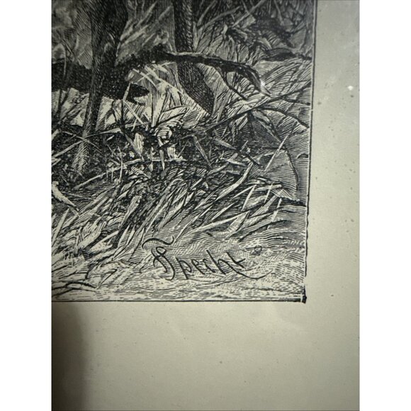 Selmar Hess Publisher N.Y. Fallow Deer Print Glass Framed 1855 Magazine 14x10” - Picture 5 of 10